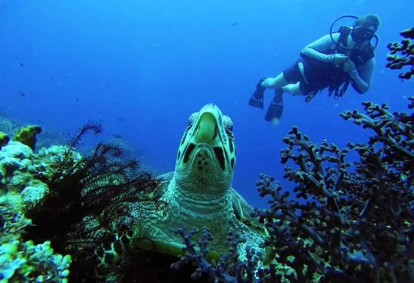 Majatalo La Bila Dive Resort Amed
