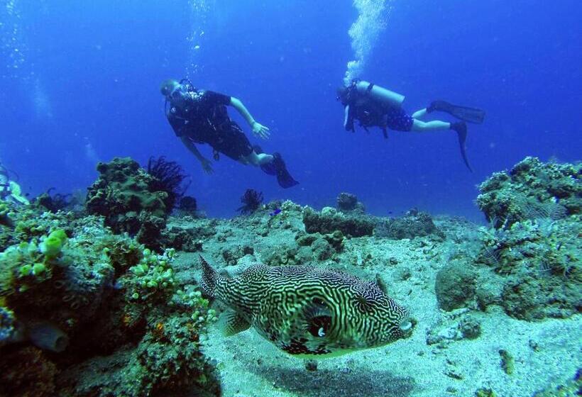 ペンション La Bila Dive Resort Amed