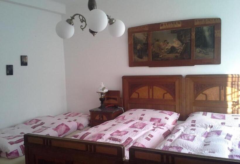 Panzió Vila Patricie