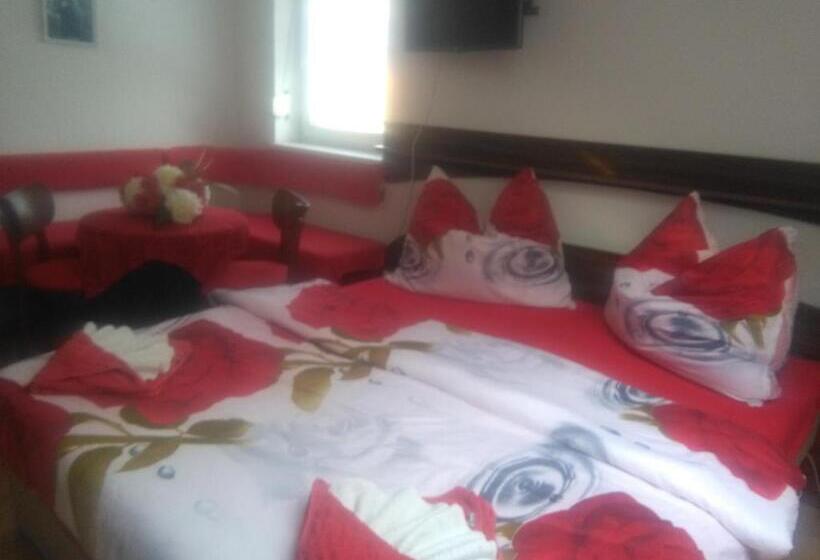 Panzió Vila Patricie