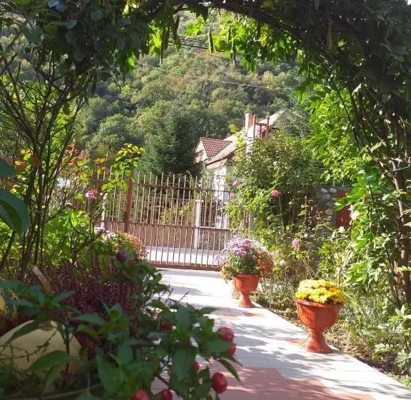 Pension Eden