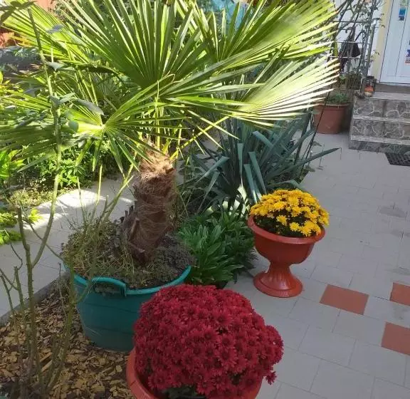 Pension Eden