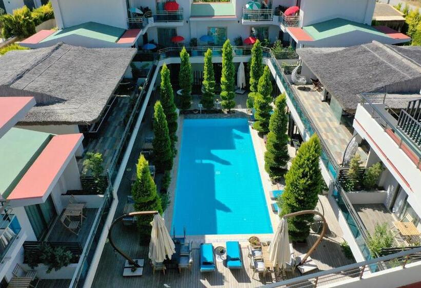 The D Hotel Spa & Resort