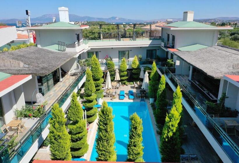 The D Hotel Spa & Resort