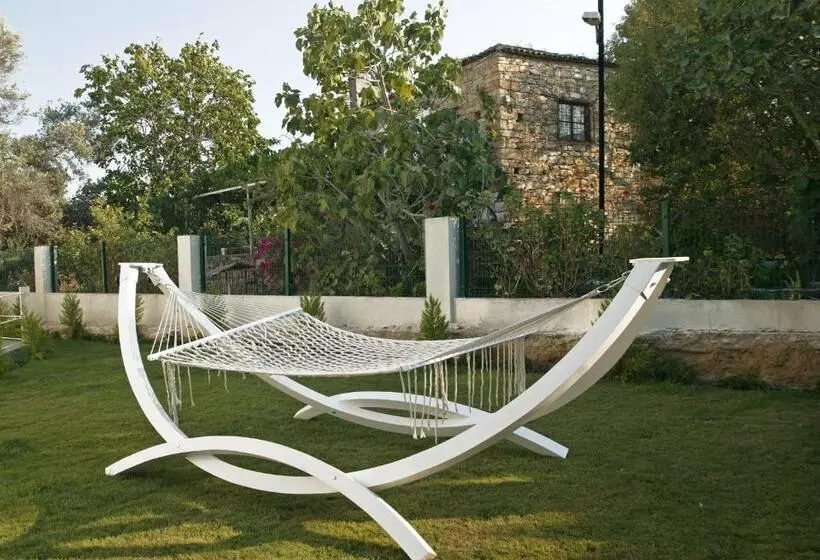 The D Hotel Spa & Resort