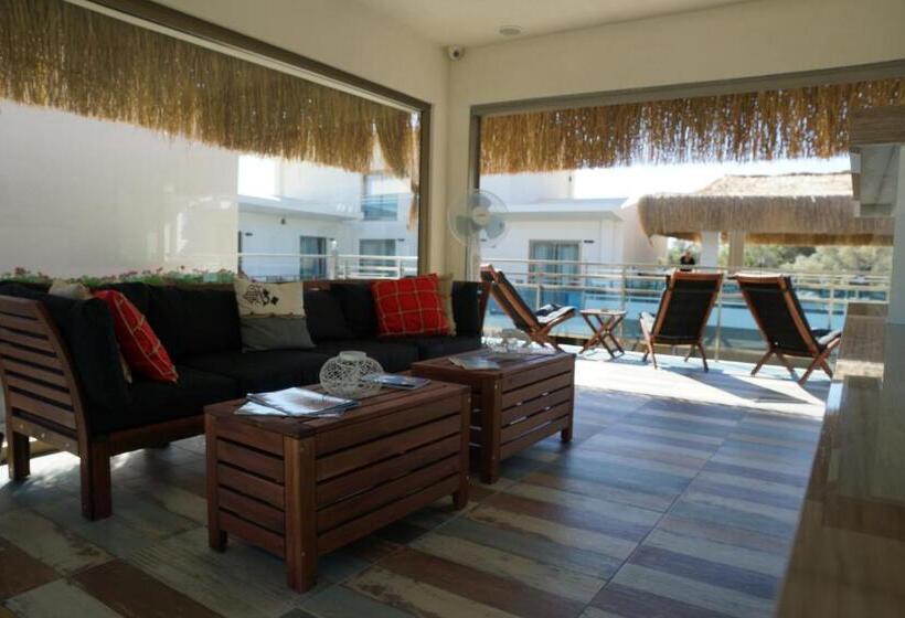 The D Hotel Spa & Resort