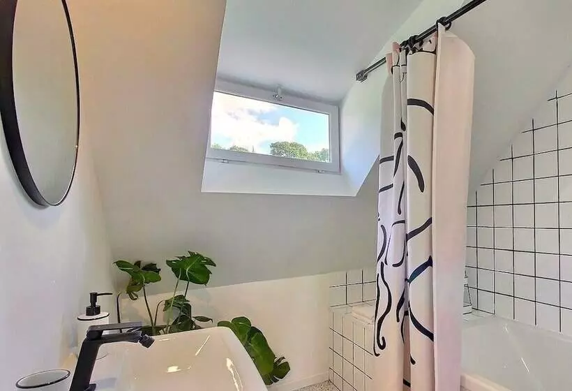 ベッドアンドブレックファースト Artefact