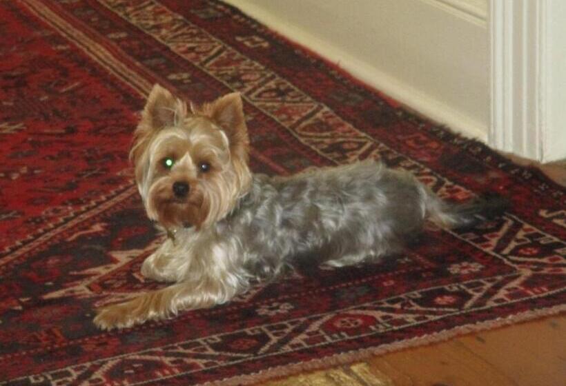 Hotel Brooklands House