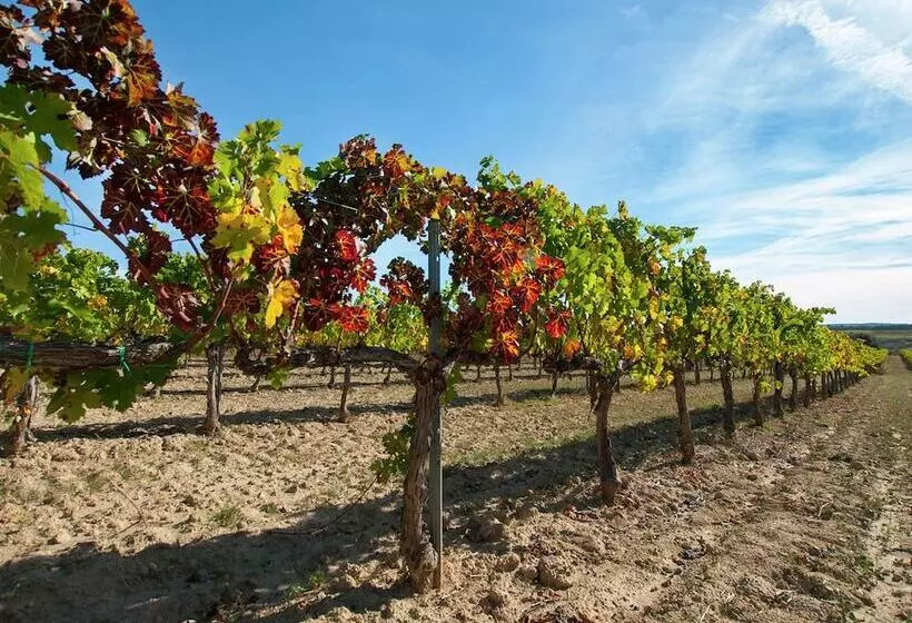 Cozy Cottage In Subirats With Swimming Pool