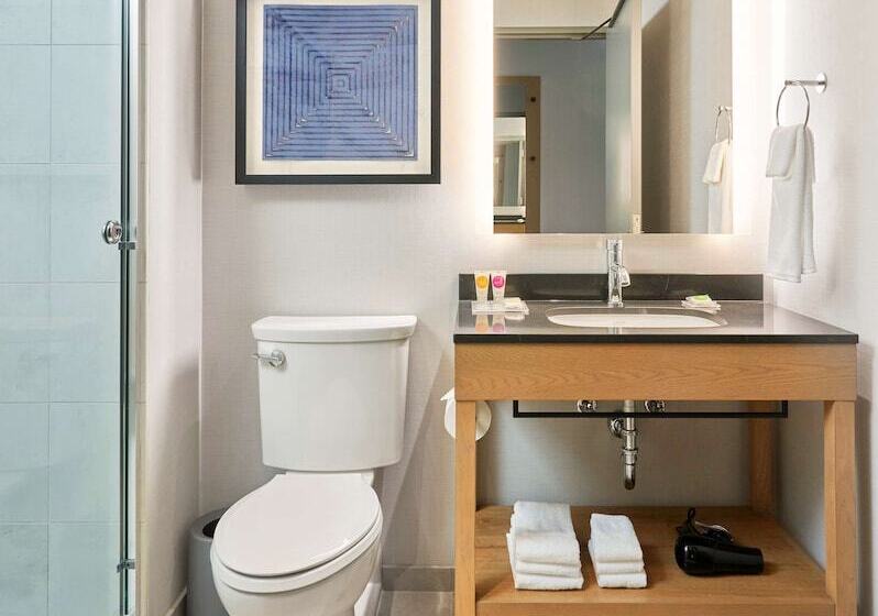 فندق Hyatt Place Chicago Medical/university District