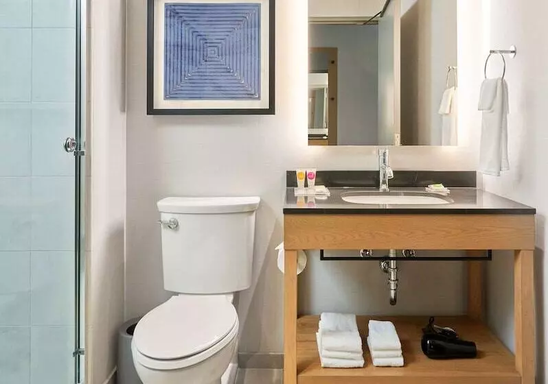 هتل Hyatt Place Chicago Medical/university District