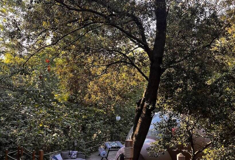 בית מלון כפרי Le Mas Cabanids