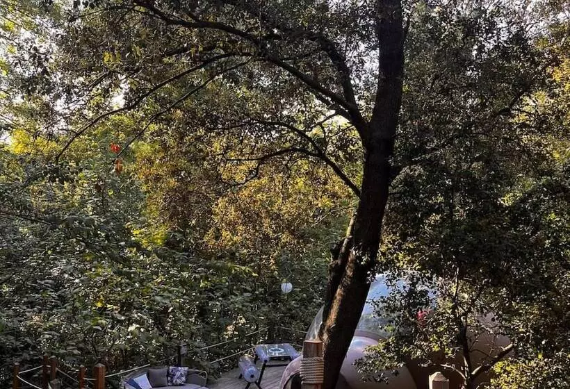 Hotelli Le Mas Cabanids