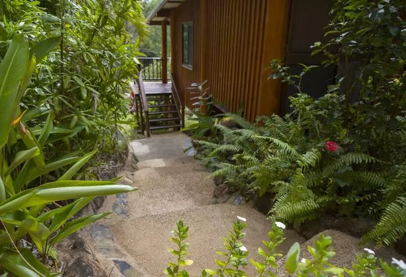 Milkwood Lodge