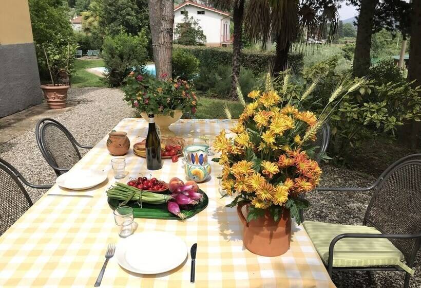 Traditional Tuscan Farmhouse In Lucca With Private Pool