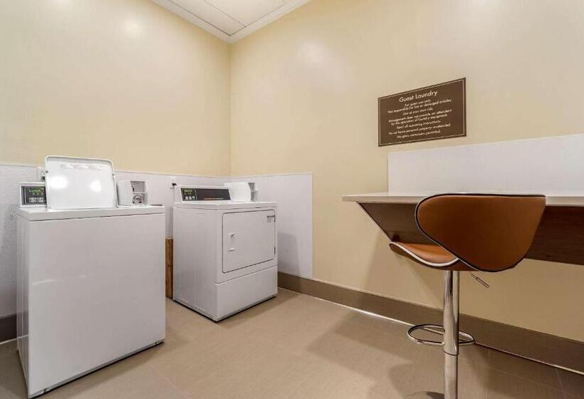 בית מלון כפרי Comfort Inn & Suites Lakewood By Jblm