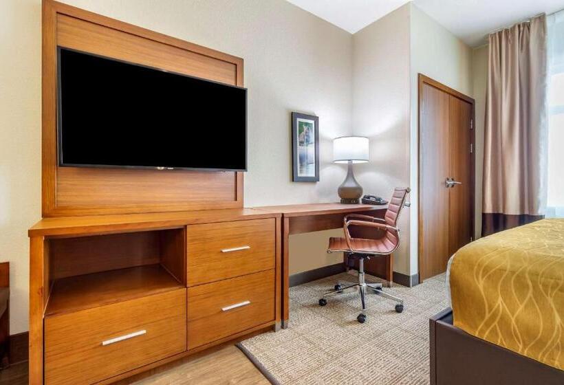 בית מלון כפרי Comfort Inn & Suites Lakewood By Jblm