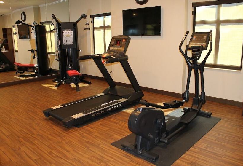 בית מלון כפרי Comfort Inn & Suites Lakewood By Jblm