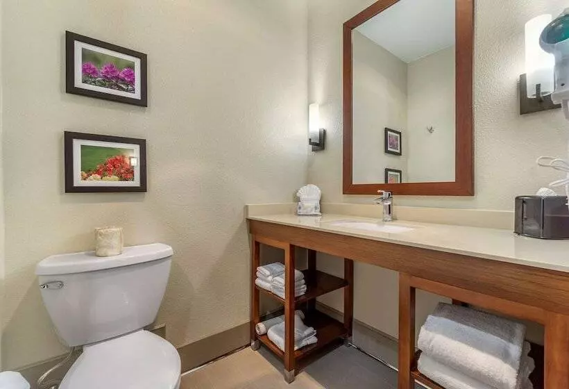 Hotelli Comfort Inn & Suites Lakewood By Jblm