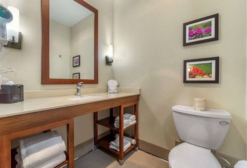 בית מלון כפרי Comfort Inn & Suites Lakewood By Jblm