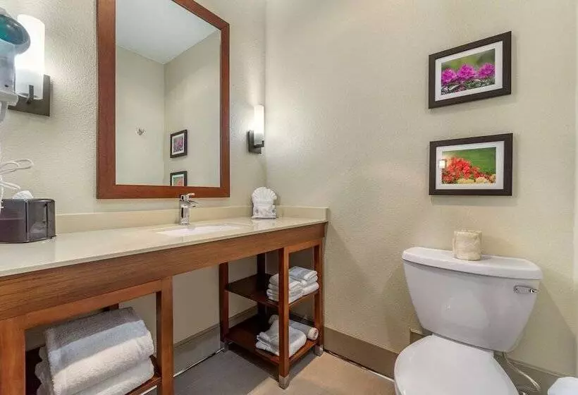 Hotelli Comfort Inn & Suites Lakewood By Jblm