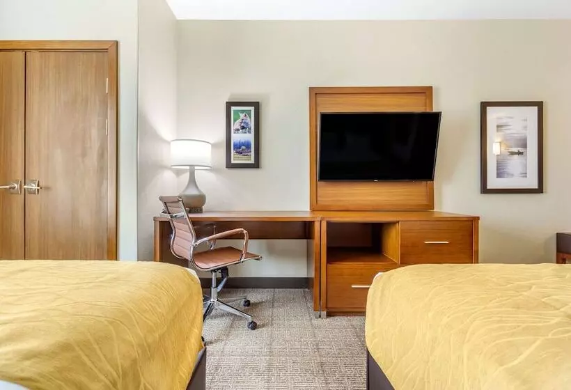 Hotelli Comfort Inn & Suites Lakewood By Jblm