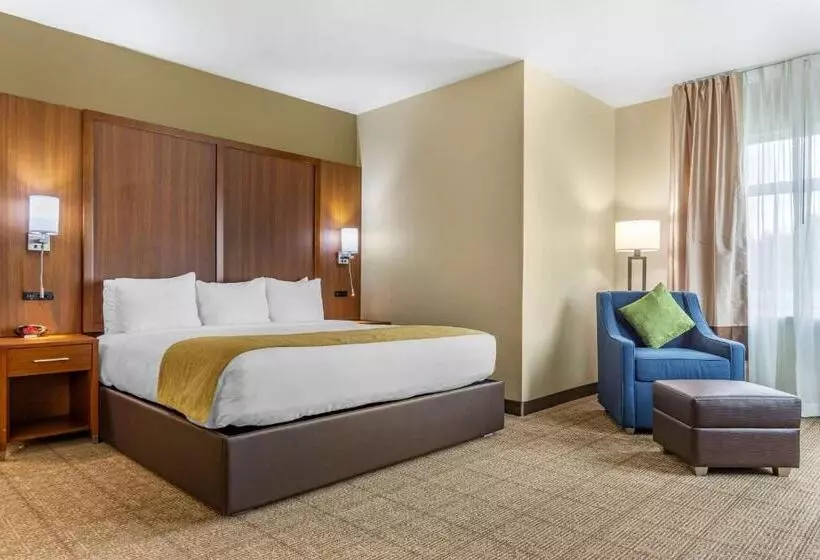 Hotelli Comfort Inn & Suites Lakewood By Jblm