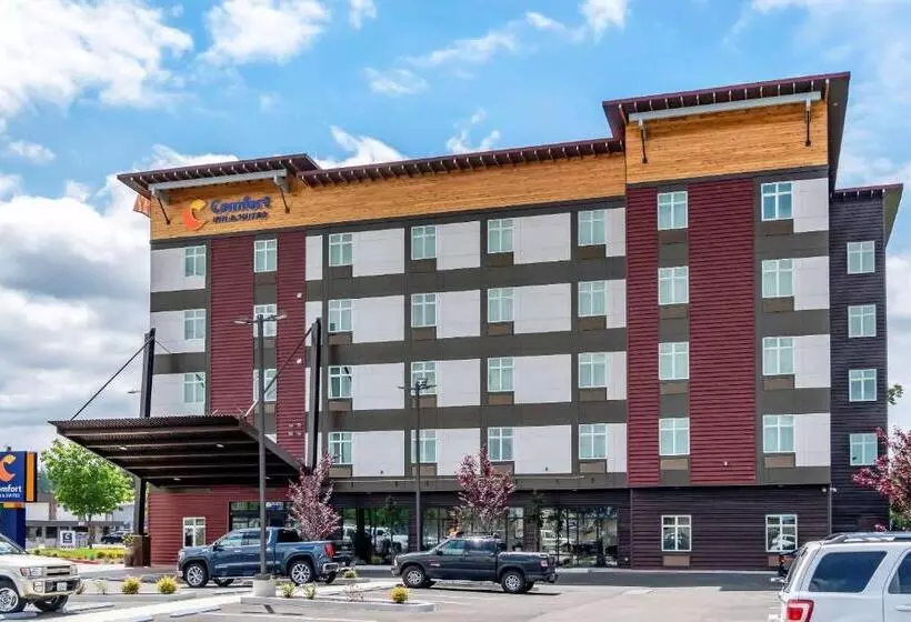 Hotelli Comfort Inn & Suites Lakewood By Jblm