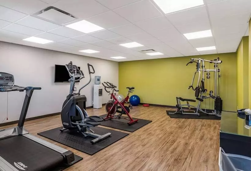 Quality Hotel & Conference Centre