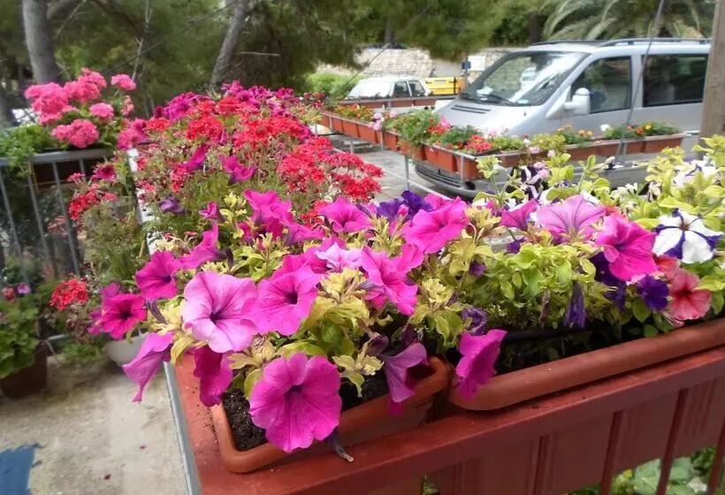 Majatalo Guesthouse Sobra