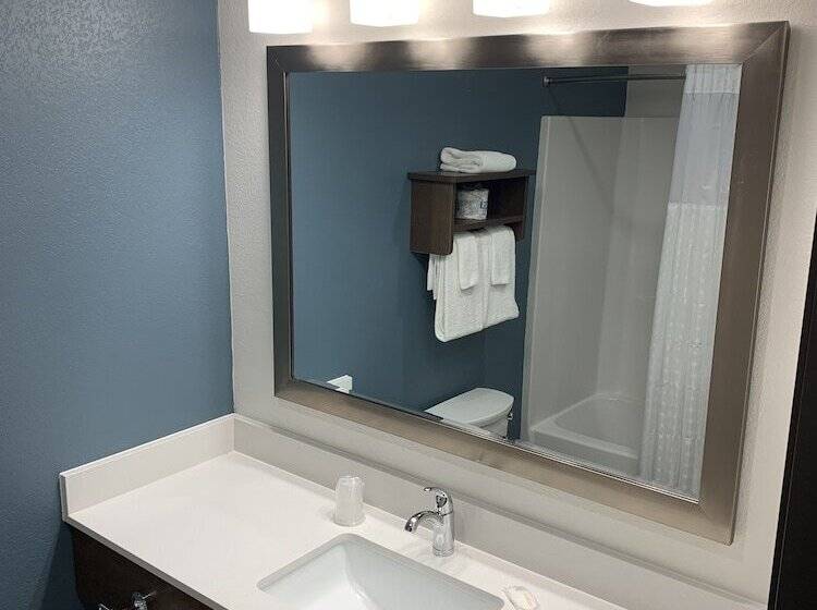 Woodspring Suites Atlanta Mcdonough