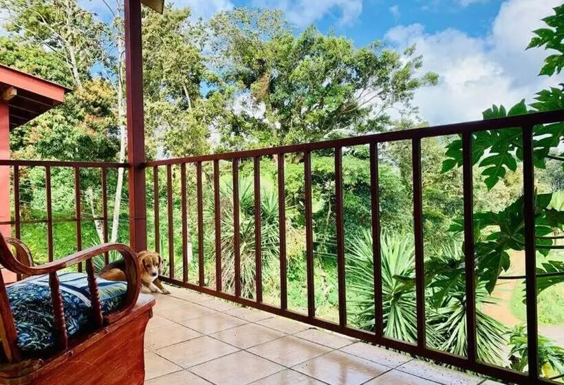 پانسیون Beautiful Casa Aire Near Lake Arenal In Nuevo Arenal   Casas Airelibre