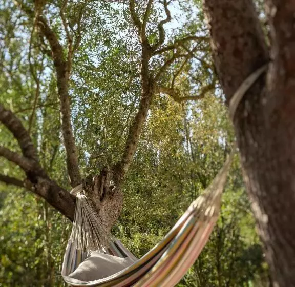 فندق Agroturismo Son Fogueró   Adults Only