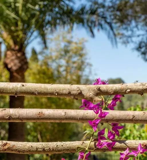 فندق Agroturismo Son Fogueró   Adults Only