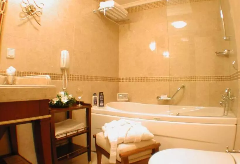 Eresin Hotels Sultanahmet   Boutique Class