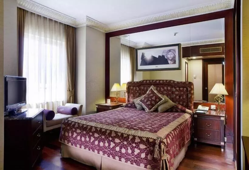 Eresin Hotels Sultanahmet   Boutique Class