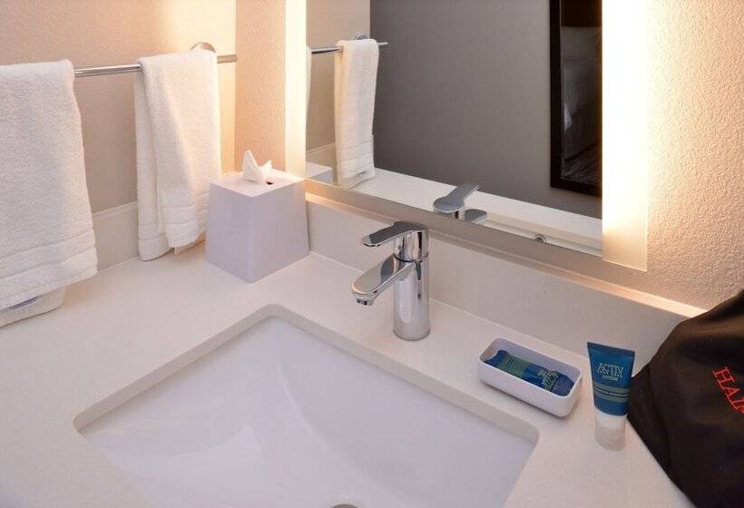 בית מלון כפרי Four Points By Sheraton Mount Prospect O’hare