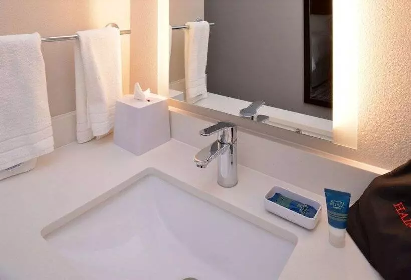 酒店 Four Points By Sheraton Mount Prospect O’hare