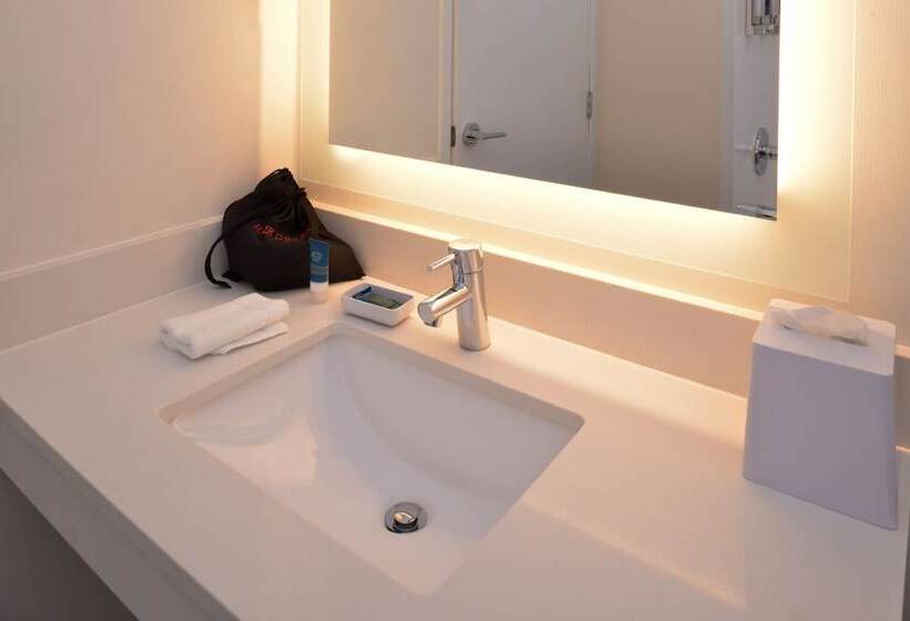 בית מלון כפרי Four Points By Sheraton Mount Prospect O’hare