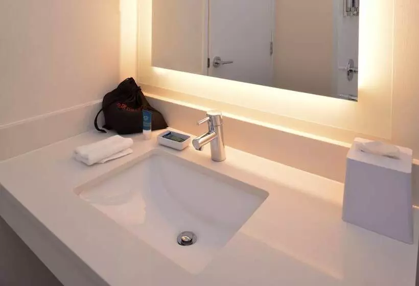 酒店 Four Points By Sheraton Mount Prospect O’hare