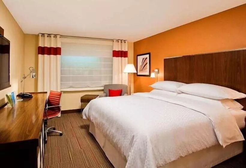 酒店 Four Points By Sheraton Mount Prospect O’hare
