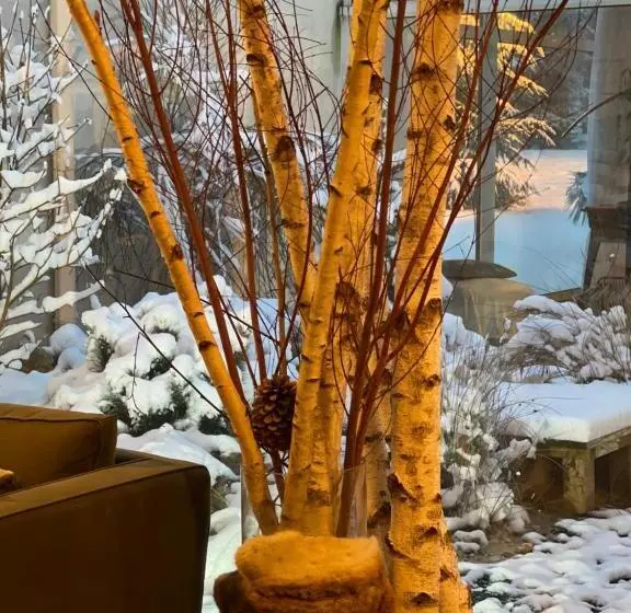 Отель Logis Des Sittelles