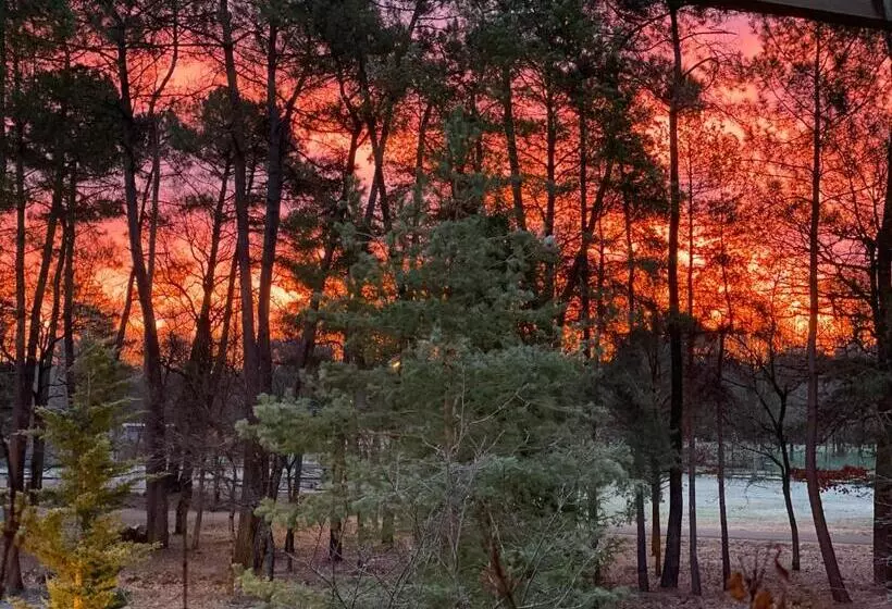 Отель Logis Des Sittelles