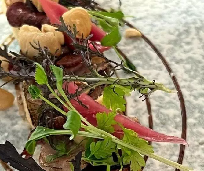 Отель Logis Des Sittelles