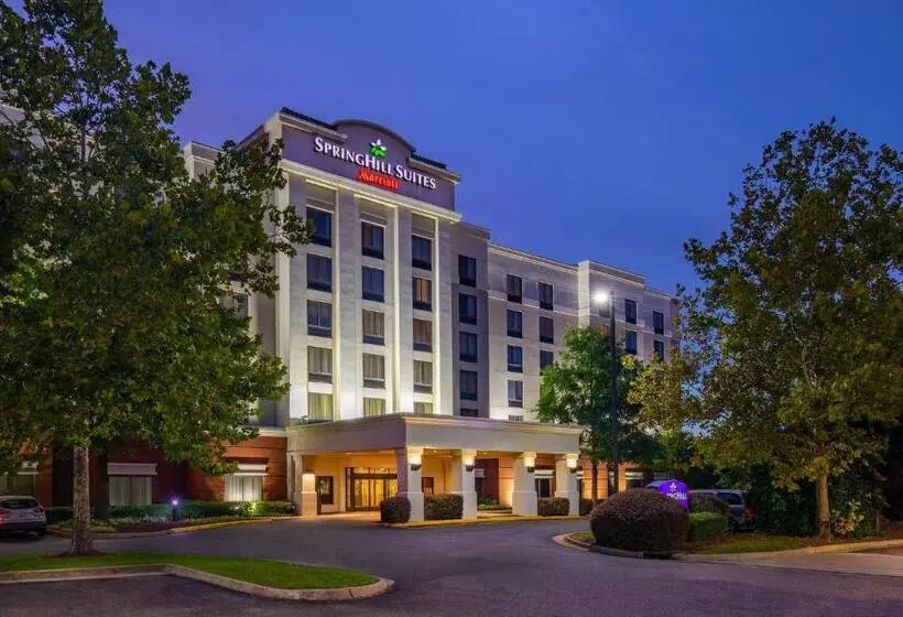 ホテル Springhill Suites By Marriott Norfolk Virginia Beach