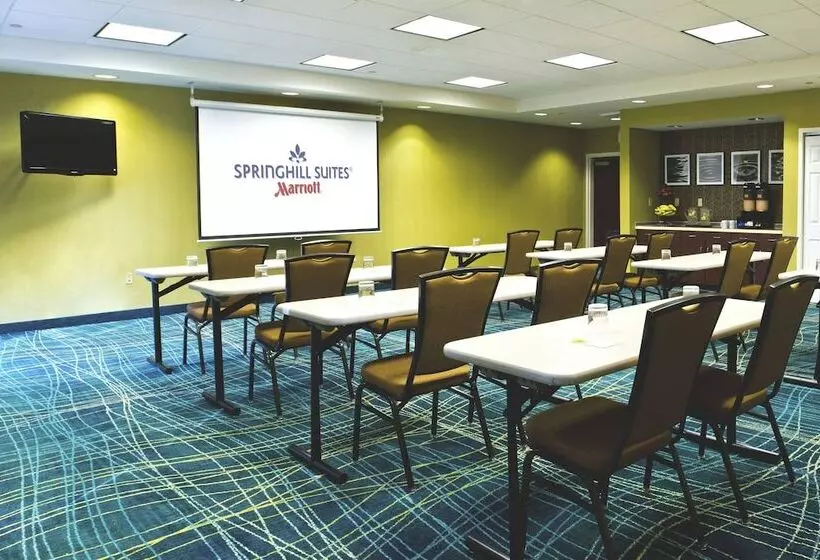 酒店 Springhill Suites Sarasota Bradenton