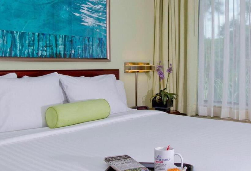 Hotel Springhill Suites Sarasota Bradenton