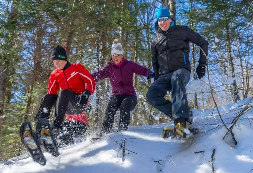 בית מלון כפרי Stoneham