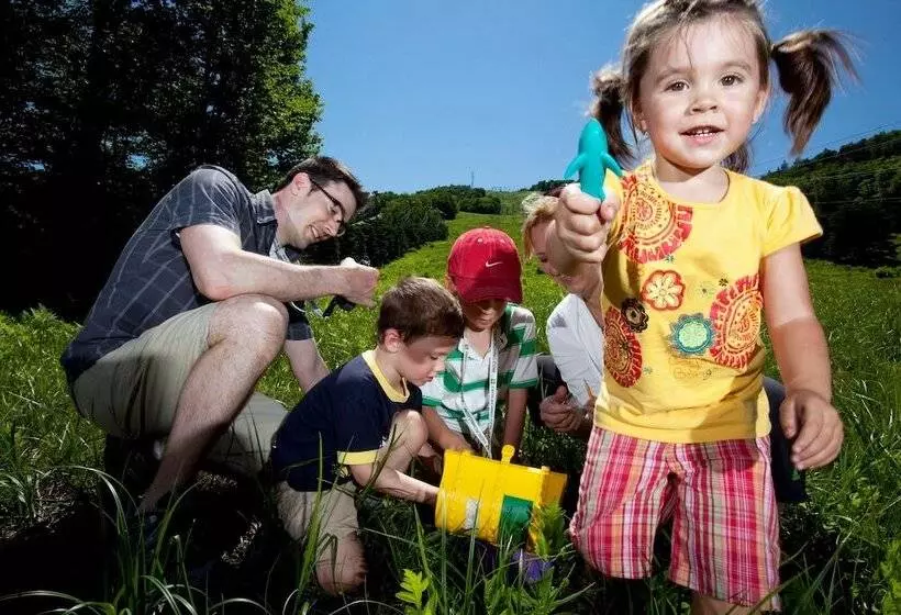 בית מלון כפרי Stoneham