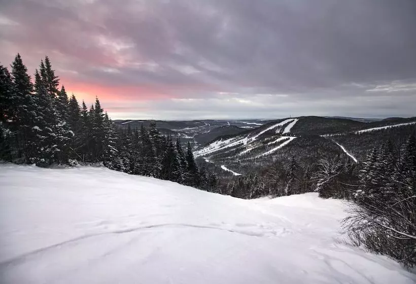 בית מלון כפרי Stoneham